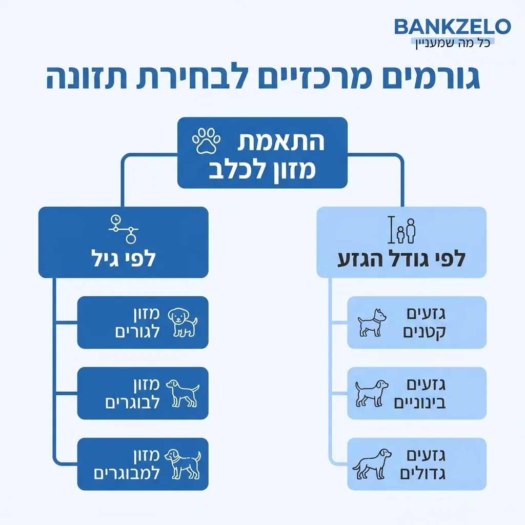 אינפוגרפיקה — גורמים מרכזיים לבחירת תזונה: התאמת מזון לכלב