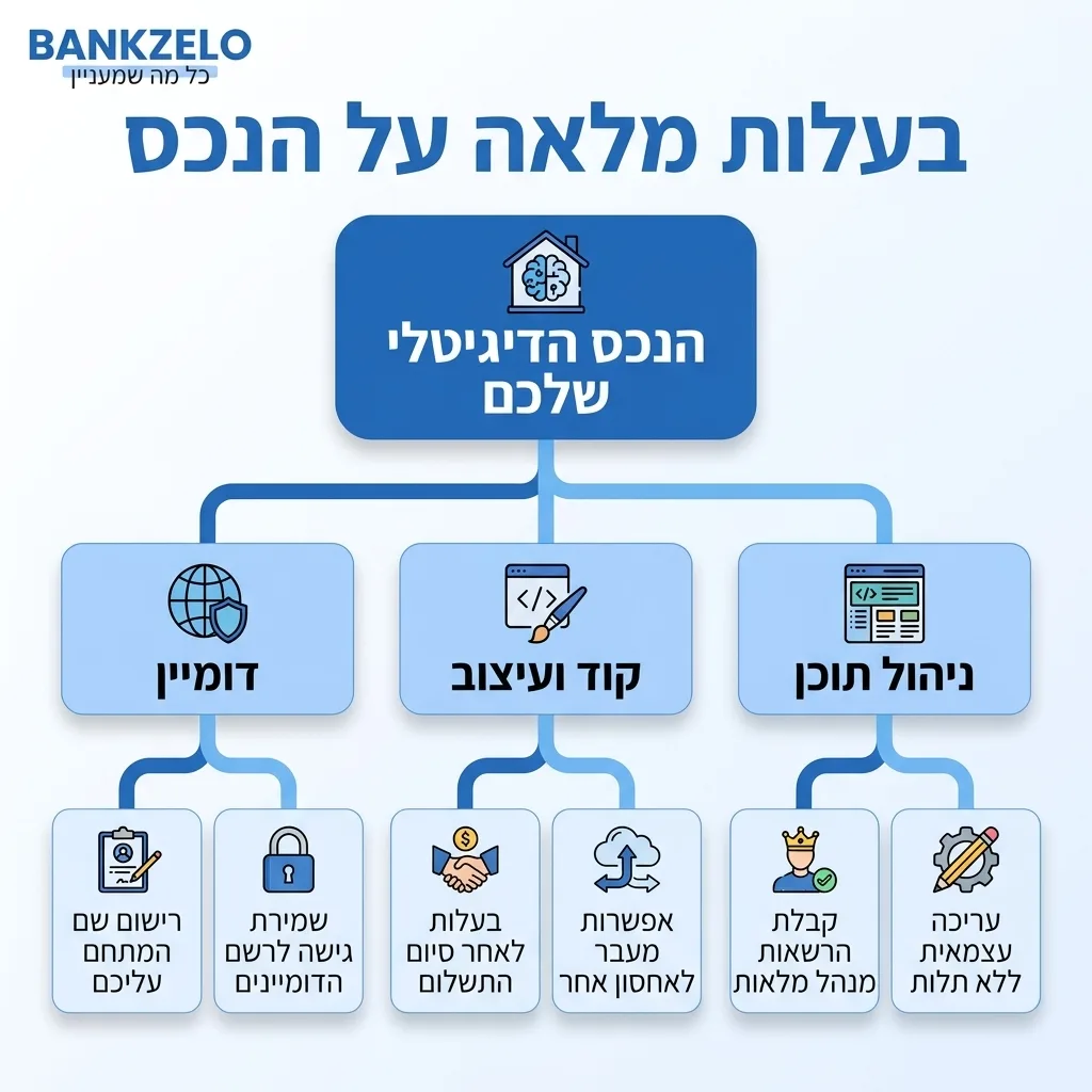 אינפוגרפיקה — בעלות מלאה על הנכס: הנכס הדיגיטלי שלכם